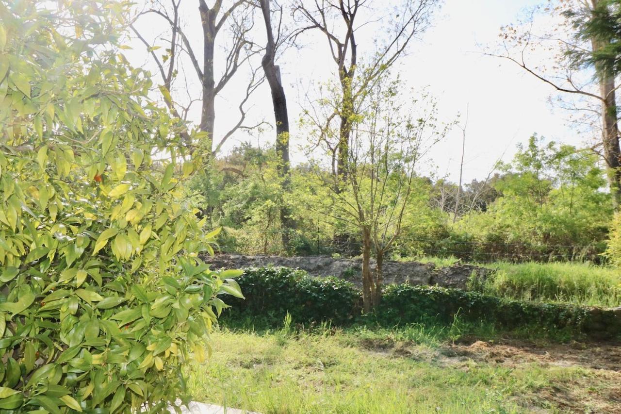 Gites Terra Di A Bravona Linguizzetta Dış mekan fotoğraf